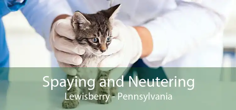 Spaying and Neutering Lewisberry - Pennsylvania