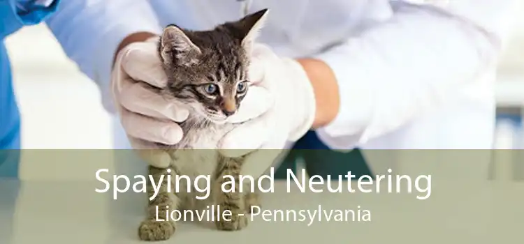 Spaying and Neutering Lionville - Pennsylvania