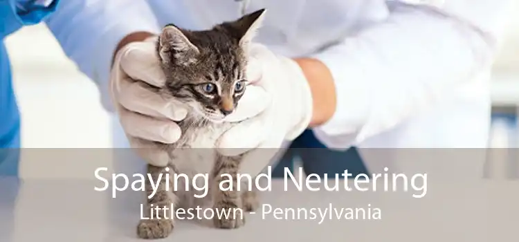 Spaying and Neutering Littlestown - Pennsylvania