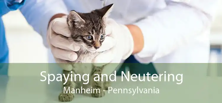Spaying and Neutering Manheim - Pennsylvania