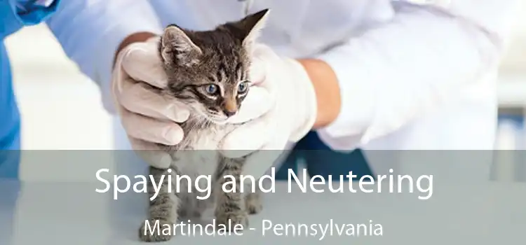 Spaying and Neutering Martindale - Pennsylvania