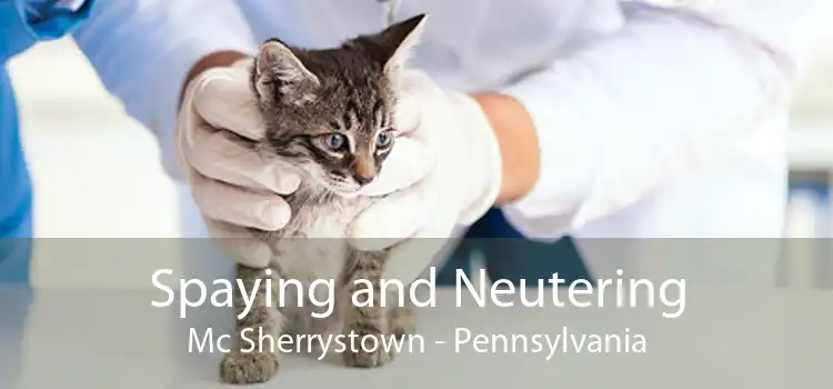 Spaying and Neutering Mc Sherrystown - Pennsylvania