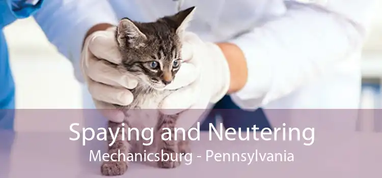 Spaying and Neutering Mechanicsburg - Pennsylvania
