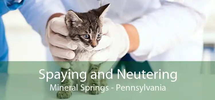 Spaying and Neutering Mineral Springs - Pennsylvania