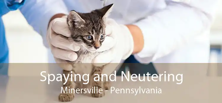 Spaying and Neutering Minersville - Pennsylvania