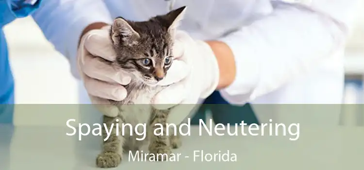 Spaying and Neutering Miramar - Florida