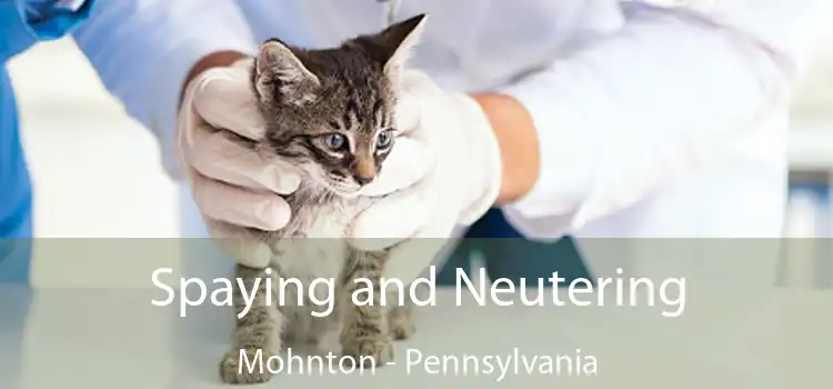 Spaying and Neutering Mohnton - Pennsylvania