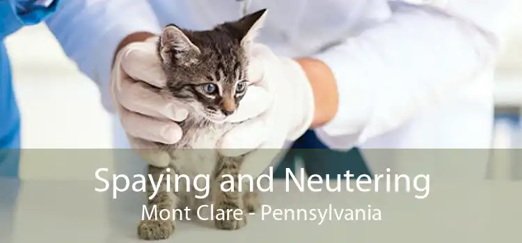 Spaying and Neutering Mont Clare - Pennsylvania