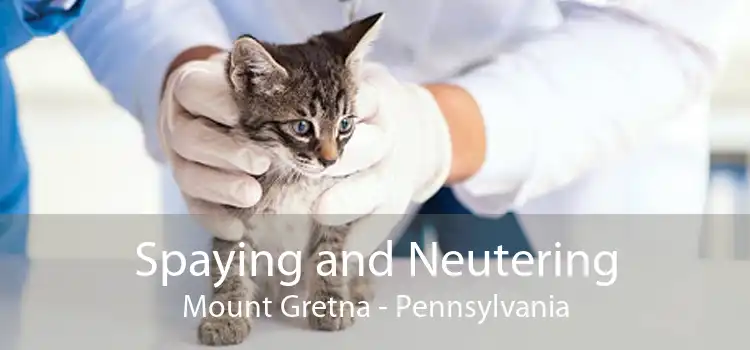 Spaying and Neutering Mount Gretna - Pennsylvania