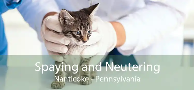 Spaying and Neutering Nanticoke - Pennsylvania