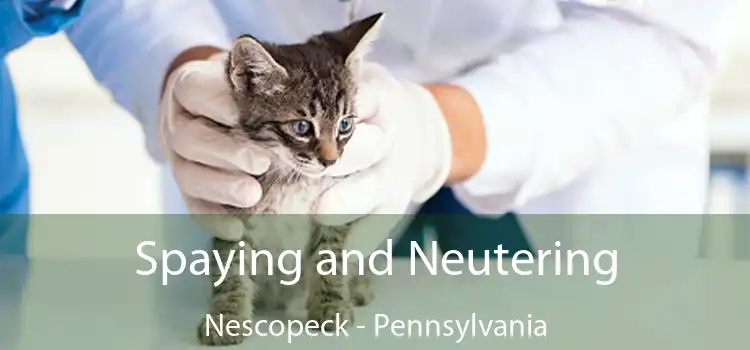 Spaying and Neutering Nescopeck - Pennsylvania