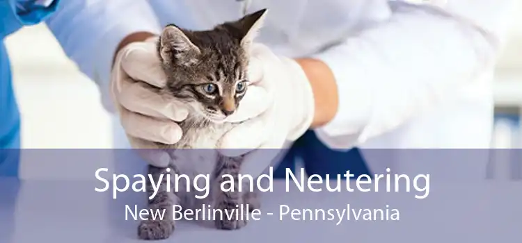 Spaying and Neutering New Berlinville - Pennsylvania