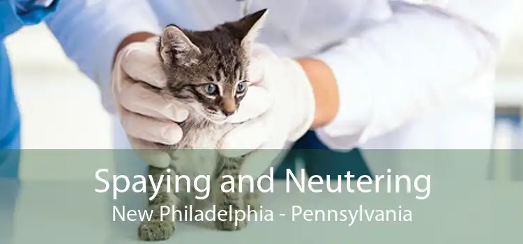 Spaying and Neutering New Philadelphia - Pennsylvania