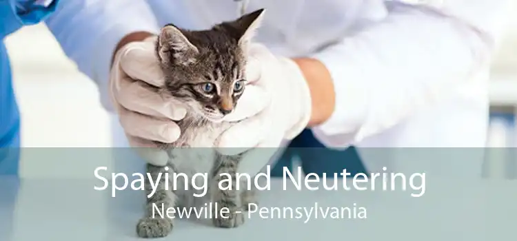 Spaying and Neutering Newville - Pennsylvania