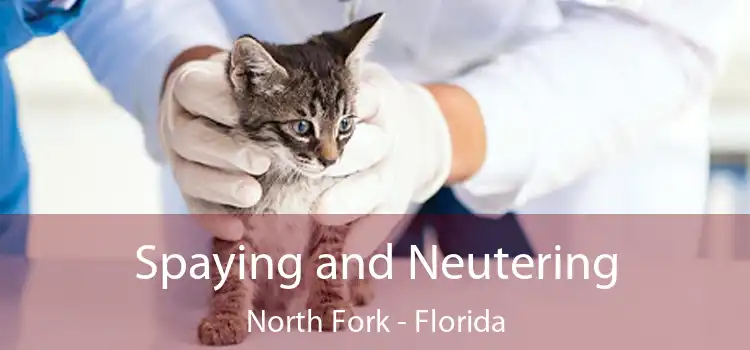 Spaying and Neutering North Fork - Florida