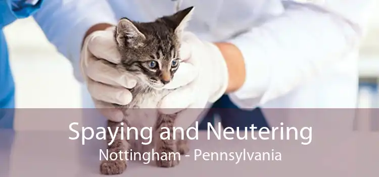 Spaying and Neutering Nottingham - Pennsylvania