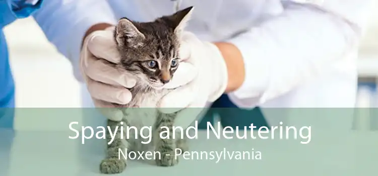 Spaying and Neutering Noxen - Pennsylvania
