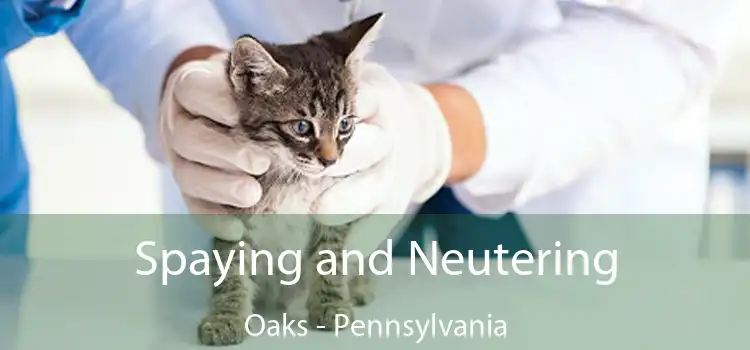 Spaying and Neutering Oaks - Pennsylvania