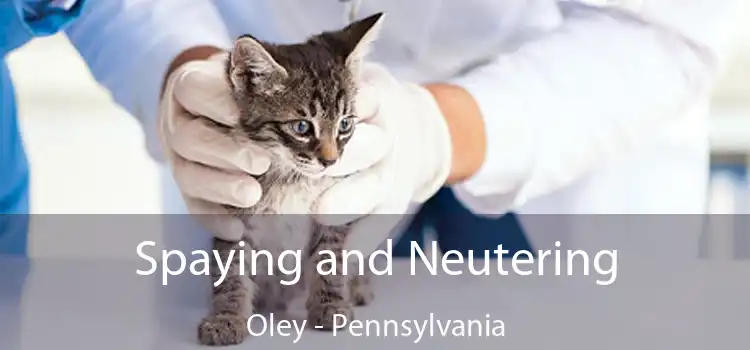 Spaying and Neutering Oley - Pennsylvania