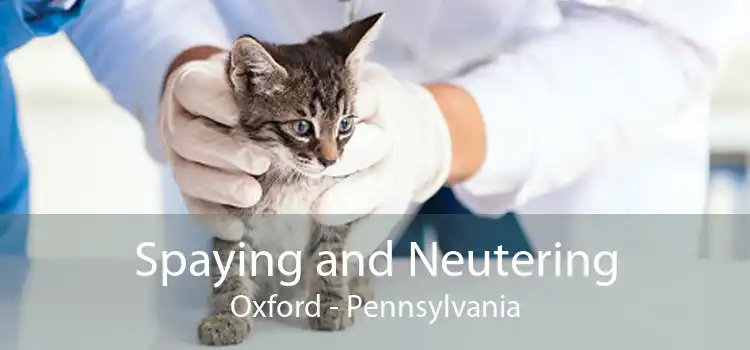 Spaying and Neutering Oxford - Pennsylvania