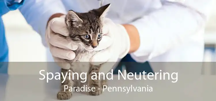 Spaying and Neutering Paradise - Pennsylvania