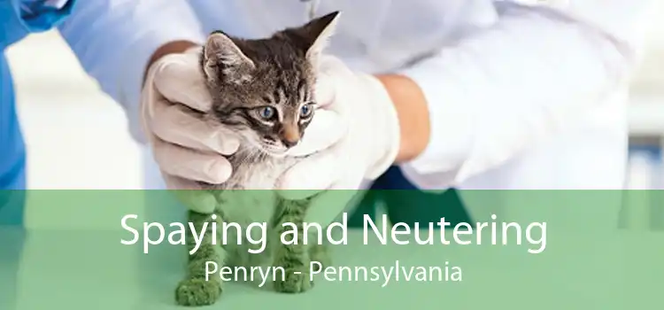 Spaying and Neutering Penryn - Pennsylvania