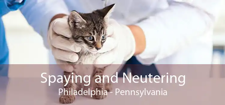 Spaying and Neutering Philadelphia - Pennsylvania