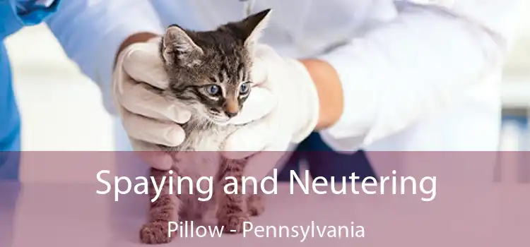 Spaying and Neutering Pillow - Pennsylvania