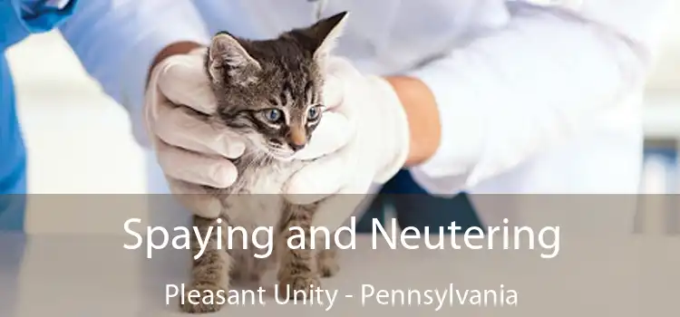 Spaying and Neutering Pleasant Unity - Pennsylvania