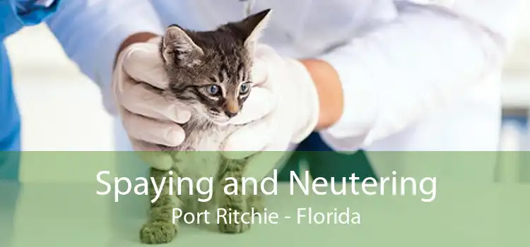 Spaying and Neutering Port Ritchie - Florida