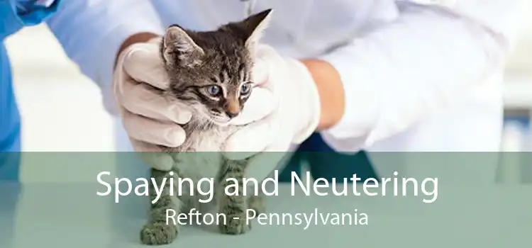 Spaying and Neutering Refton - Pennsylvania