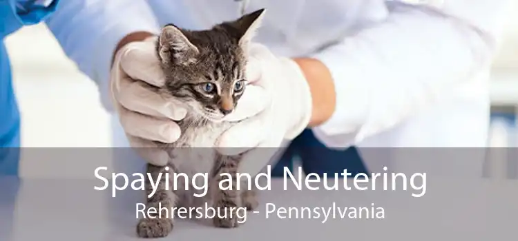 Spaying and Neutering Rehrersburg - Pennsylvania