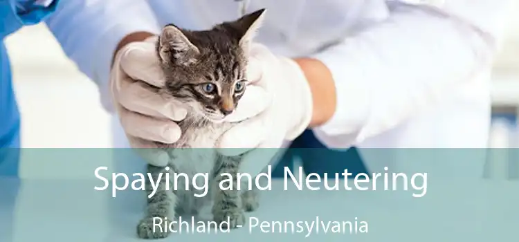 Spaying and Neutering Richland - Pennsylvania
