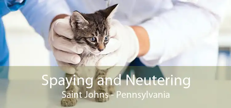 Spaying and Neutering Saint Johns - Pennsylvania