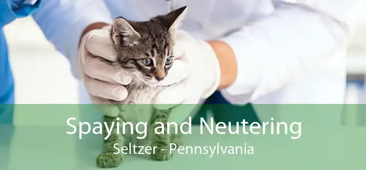 Spaying and Neutering Seltzer - Pennsylvania