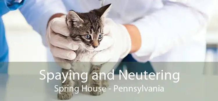 Spaying and Neutering Spring House - Pennsylvania