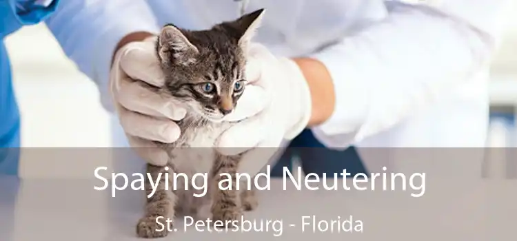 Spaying and Neutering St. Petersburg - Florida