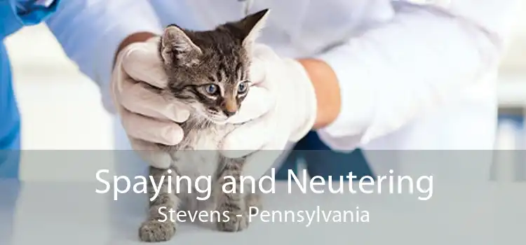 Spaying and Neutering Stevens - Pennsylvania