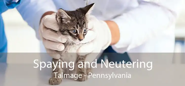 Spaying and Neutering Talmage - Pennsylvania