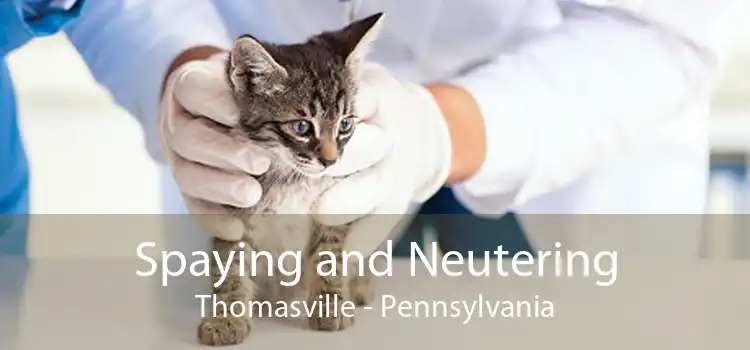 Spaying and Neutering Thomasville - Pennsylvania