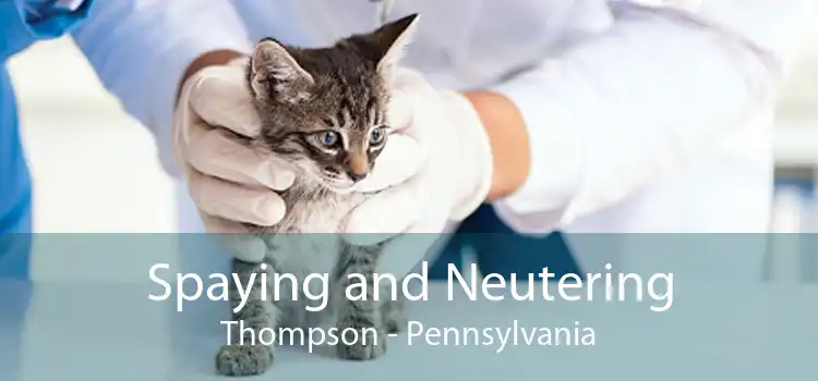 Spaying and Neutering Thompson - Pennsylvania