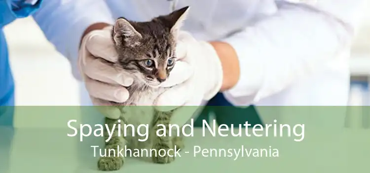 Spaying and Neutering Tunkhannock - Pennsylvania