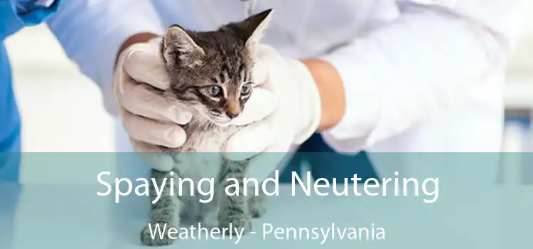 Spaying and Neutering Weatherly - Pennsylvania