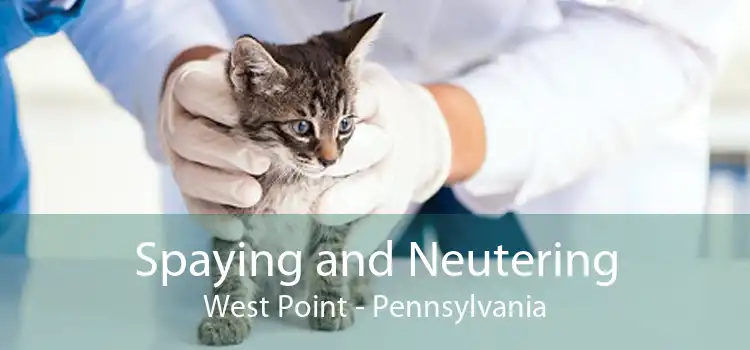 Spaying and Neutering West Point - Pennsylvania