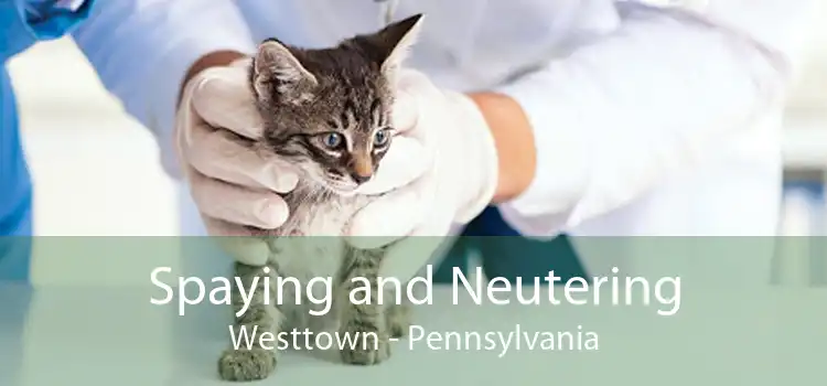 Spaying and Neutering Westtown - Pennsylvania