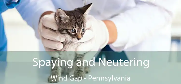 Spaying and Neutering Wind Gap - Pennsylvania
