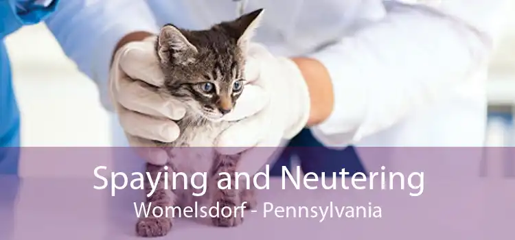 Spaying and Neutering Womelsdorf - Pennsylvania