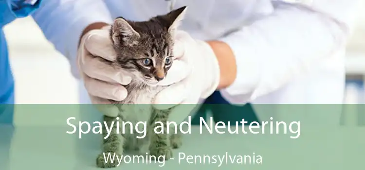 Spaying and Neutering Wyoming - Pennsylvania