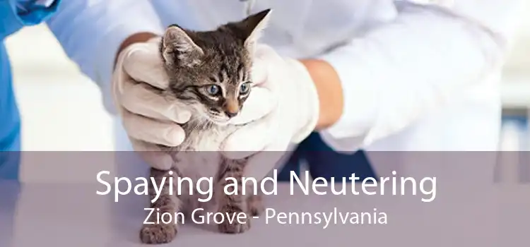 Spaying and Neutering Zion Grove - Pennsylvania