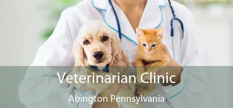 Veterinarian Clinic Abington Pennsylvania